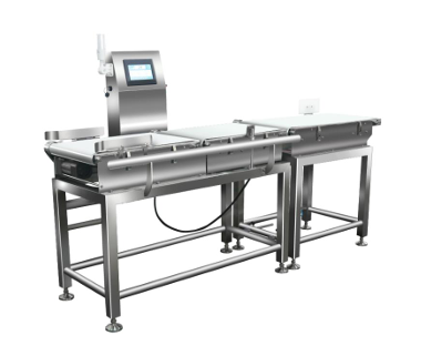 WTX-XP300 – High-Precision Checkweigher with Pusher Rejection (10 g – 5 kg)