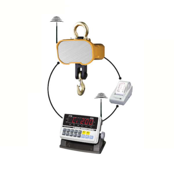 Crane Scale System CASTON THZ + CI-2000A + DLP – Heavy-Duty Wireless Crane Weighing & Label Printing Solution (1 ton – 20 ton)